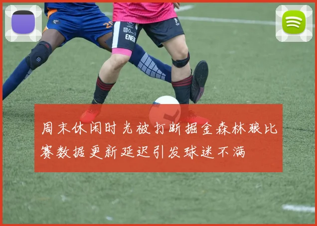 周末休闲时光被打断掘金森林狼比赛数据更新延迟引发球迷不满