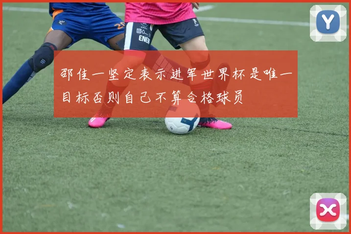 邵佳一坚定表示进军世界杯是唯一目标否则自己不算合格球员