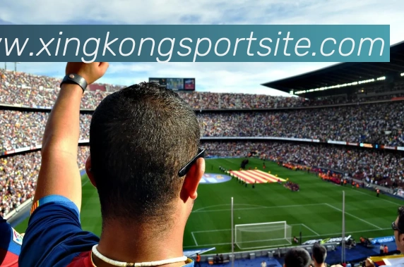 星空体育APP 封面图