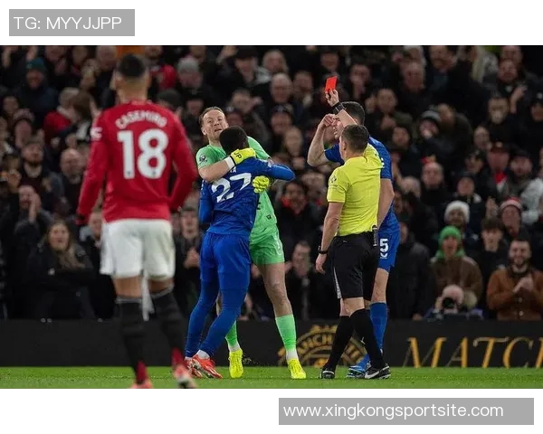 曼城主场强势击败埃弗顿全场数据分析射门和得分机会全面占优